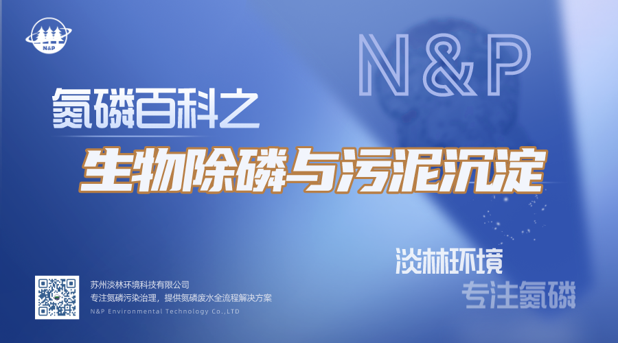 1731124646764801.png 1731124646764801.png