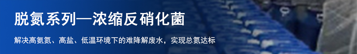 浓缩反硝化菌.jpg