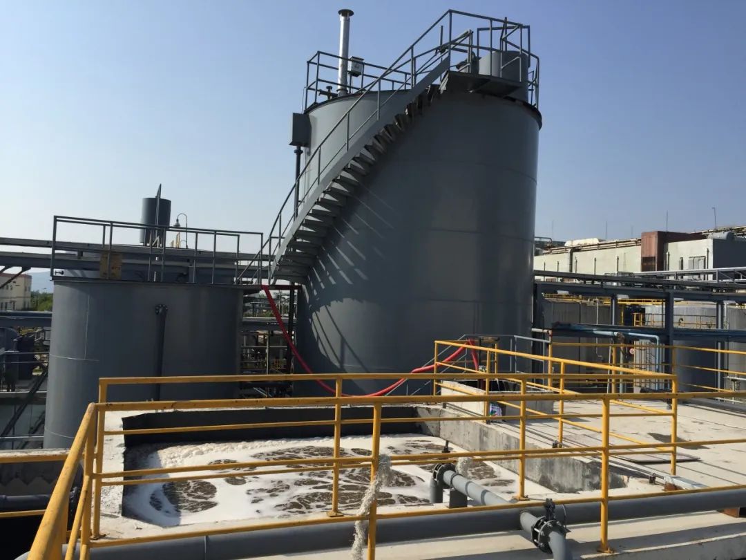 1745553069900573.jpg 640.jpg