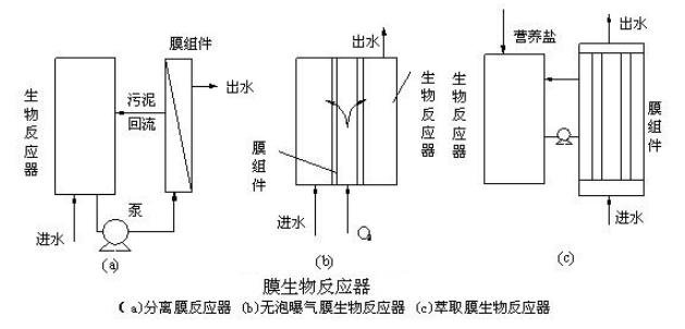 1750126075455413.png 640 (4).png