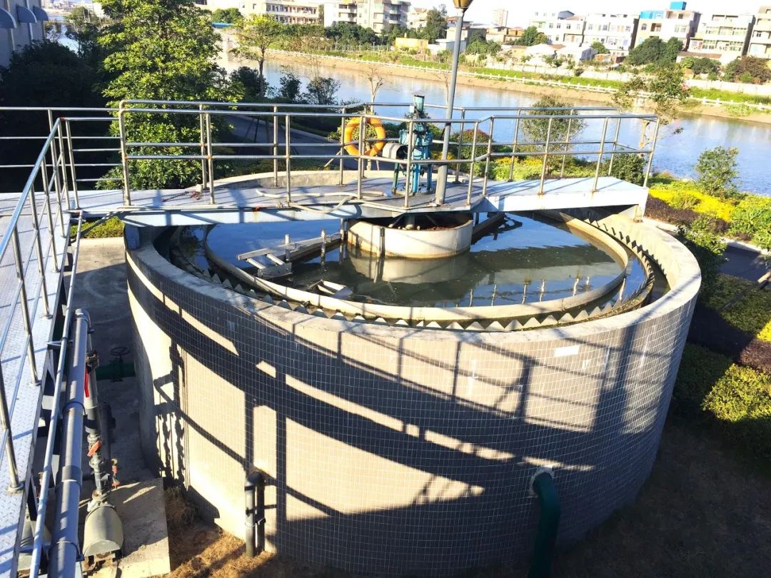 1753336676965179.jpg 640.jpg