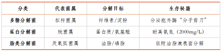 1755845921771575.png 640 (2).png