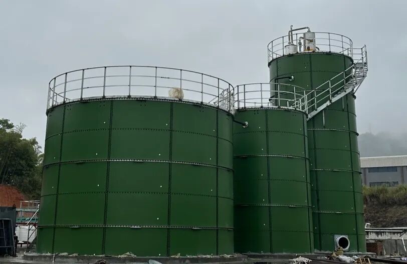 1758190876887908.jpg 640 (5).jpg