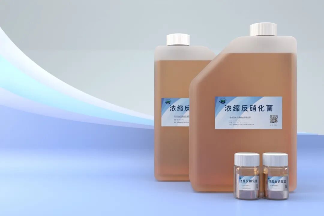 1761205560303497.jpg 640 (11).jpg