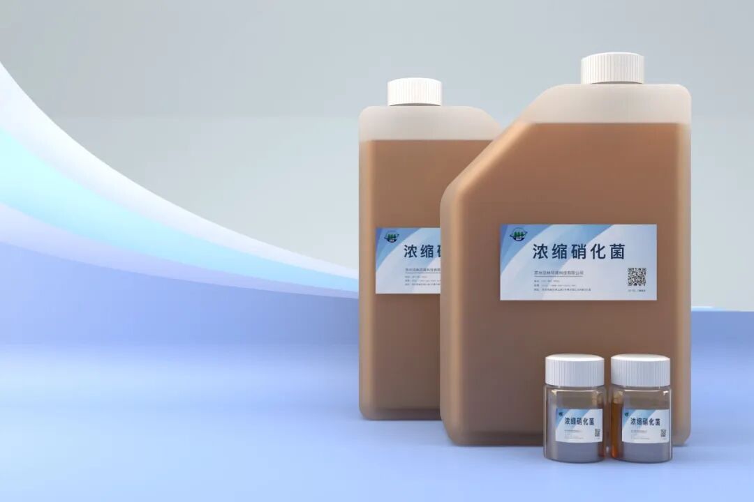 1761205570615478.jpg 640 (12).jpg