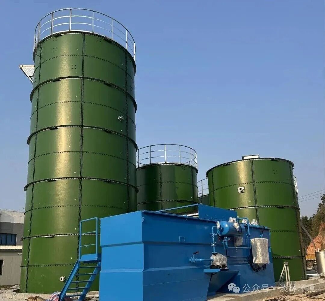 1770362133563964.jpg 640 (3).jpg