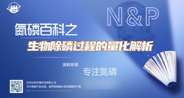 生物除磷过程的量化解析