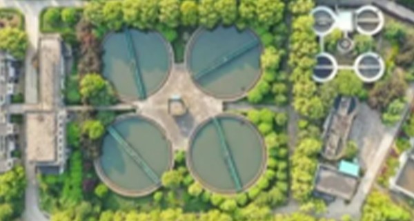 强化生物脱氮技术原理