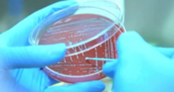 污水中营造微生物生长环境方法