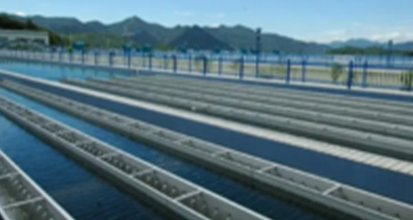 污水处理氨氮超标中常见问题分析