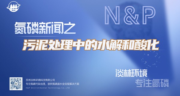 污泥处理中的水解和酸化