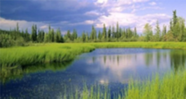 新兴钛基混凝剂可控制陶瓷膜的污染