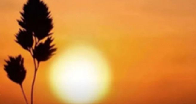 微生物净化水质概述