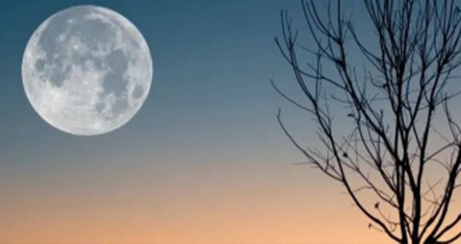 提高生物脱氮效果的措施