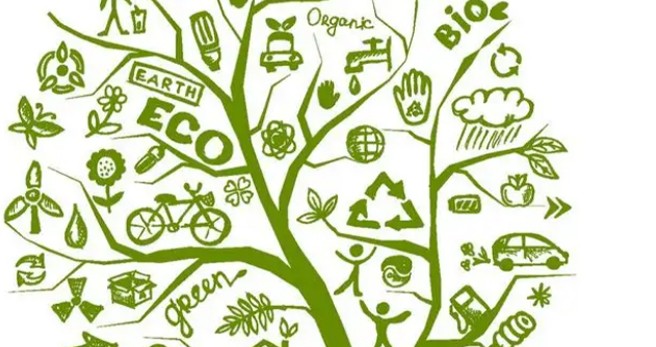 MBR膜生物反应器一体化设备