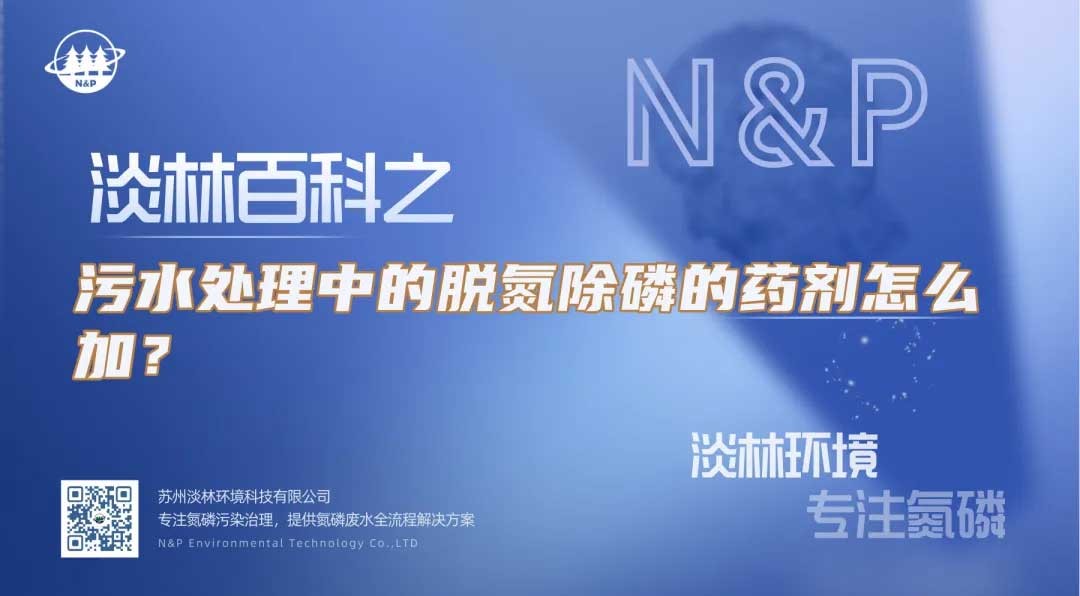 淡林百科｜污水处理中的脱氮除磷的药剂怎么加？