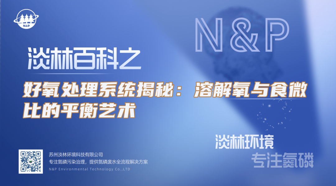淡林百科｜好氧处理系统揭秘：溶解氧与食微比的平衡艺术