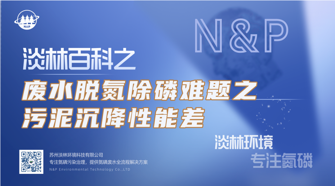 淡林百科｜废水脱氮除磷难题之污泥沉降性能差