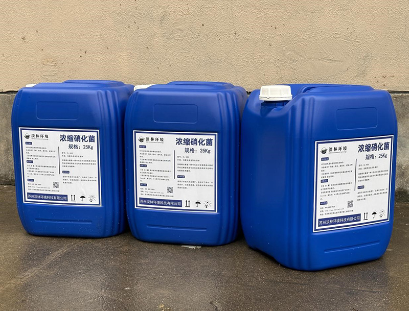 杭州帝凯锦纶废水浓缩硝化菌