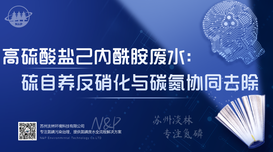 淡林百科｜高硫酸盐己内酰胺废水：硫自养反硝化与碳氮协同去除