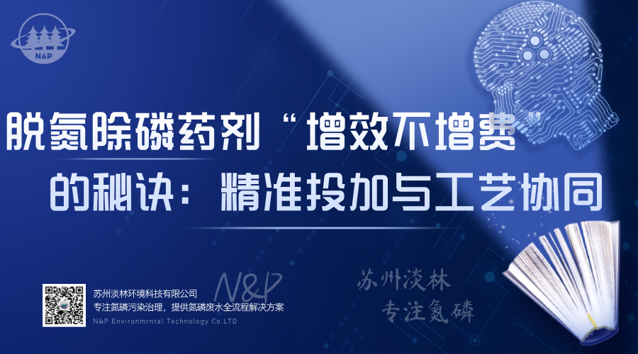 淡林百科｜脱氮除磷药剂“增效不增费”的秘诀：精准投加与工艺协同