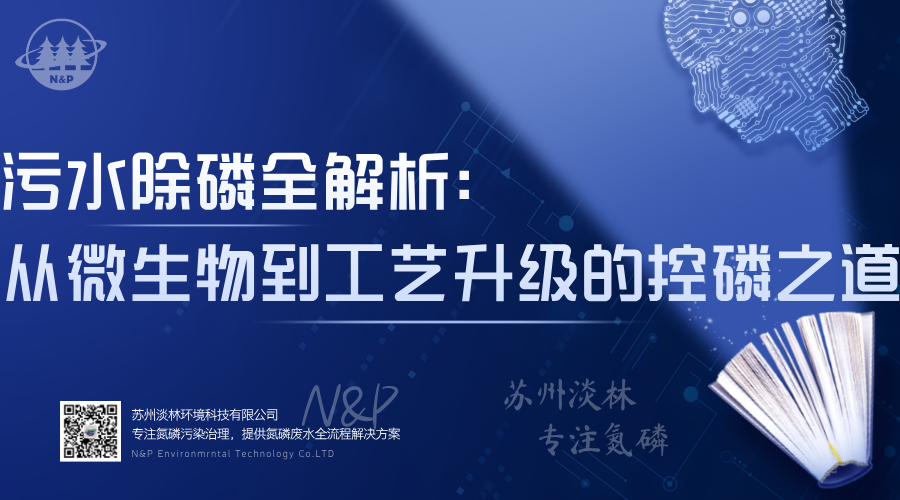 淡林百科｜污水除磷全解析：从微生物到工艺升级的控磷之道