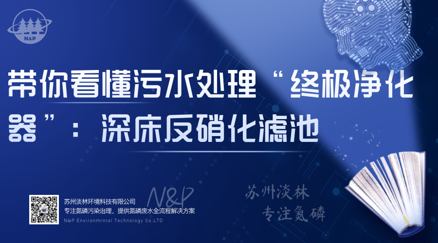 淡林环境｜带你看懂污水处理的“终极净化器”：深床反硝化滤池