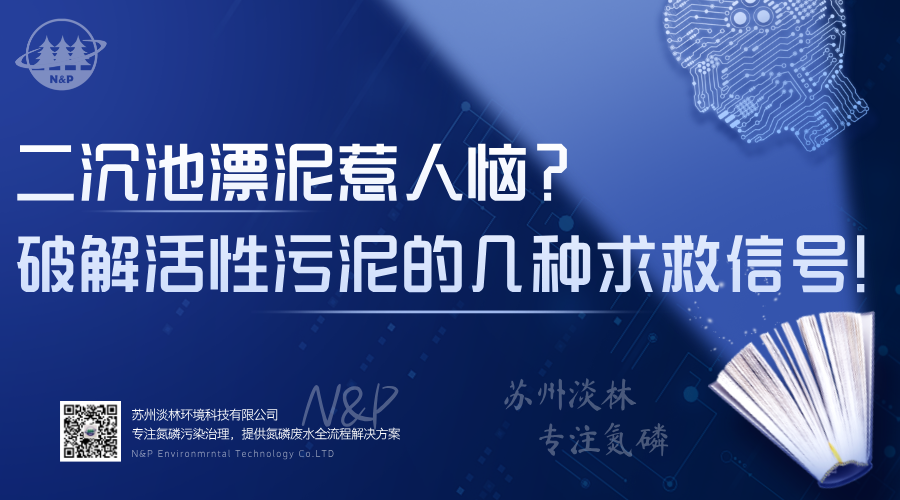 淡林百科｜二沉池漂泥惹人恼？一文破解活性污泥的几种求救信号！